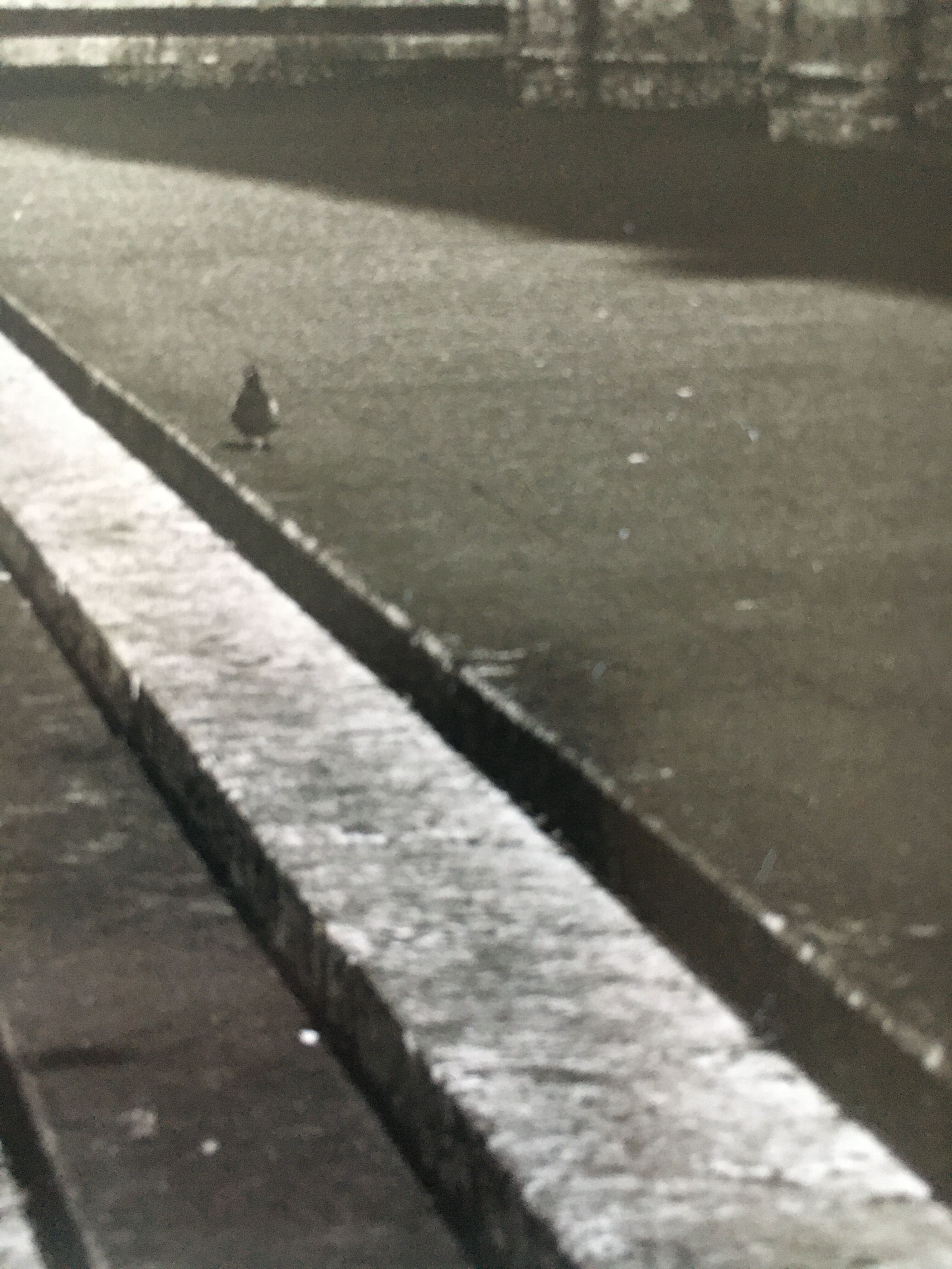 Urban graphic print, années 80