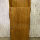 Mlodernist shelf