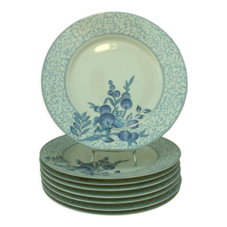 Set of 8 plates in Limoges porcelain Deshoulieres model Bracieux