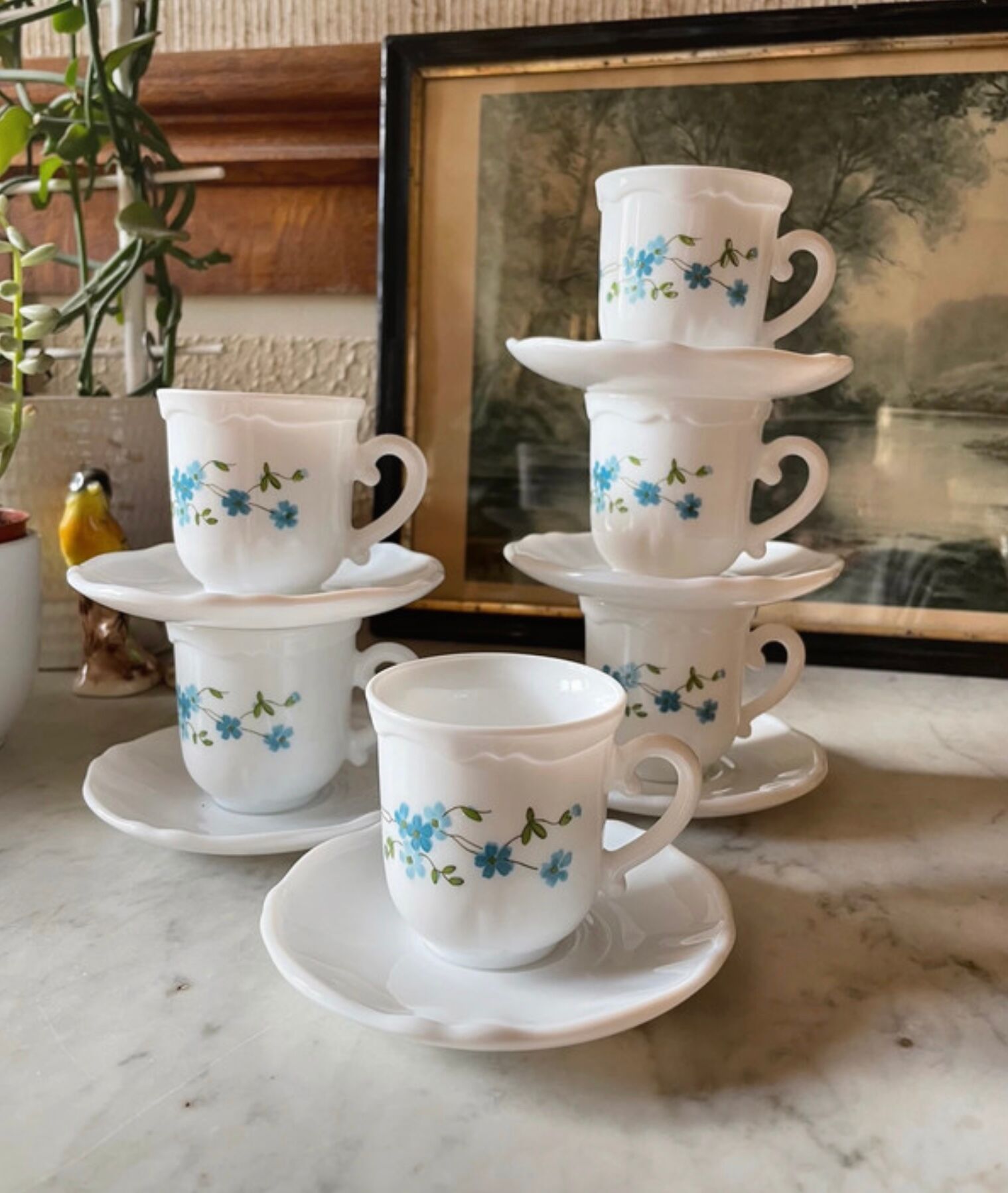 Coffee service Forget-me-not Arcopal