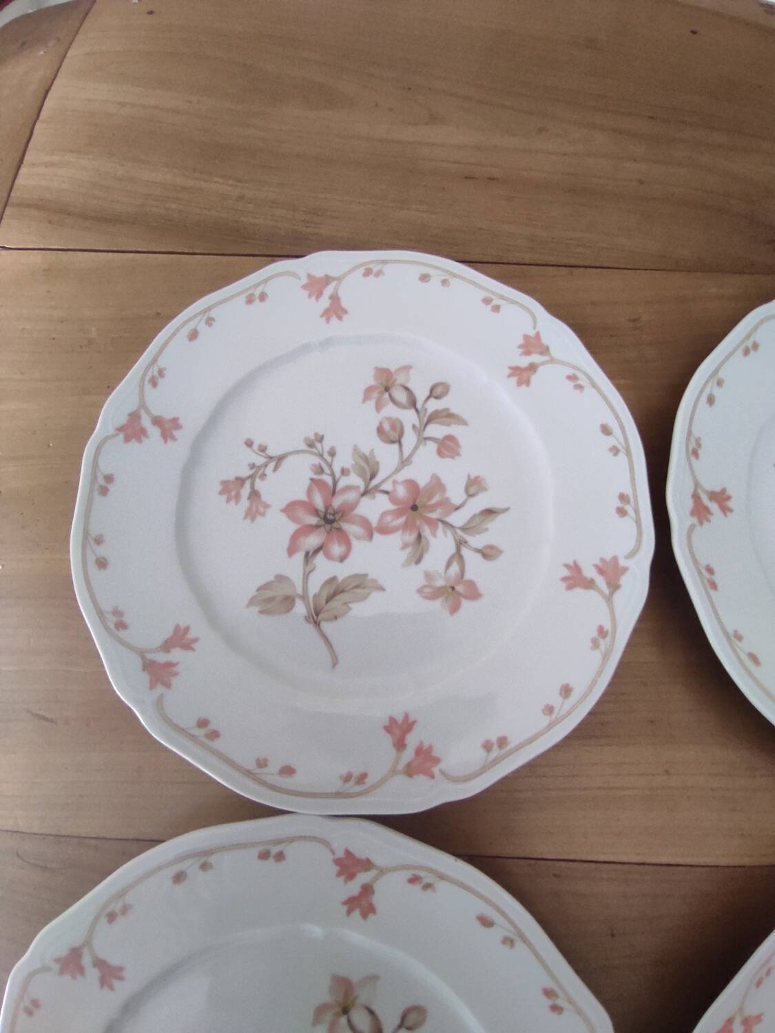 Set of 6 Limoges porcelain dinner plates by Deshoulières