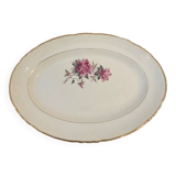 Dish