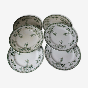 Lot de 6 assiettes plates "Modern Style"