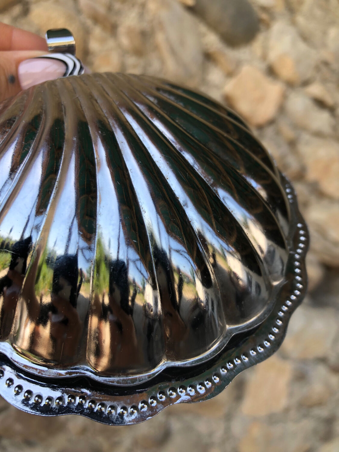 Butter dish/pocket tray • shell, vintage