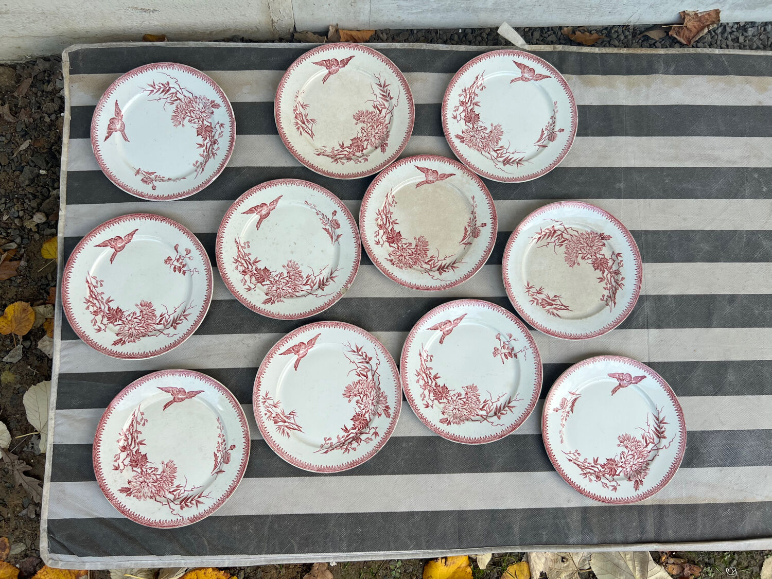 Assiette FF Pexonne Terre de Fer décor rose oiseaux XIX