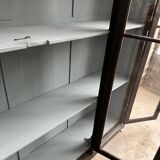 Vitrine de musée fin XIXème