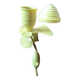 Mushroom clip lamp