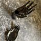 Black ceramic binge hand and cup 1970