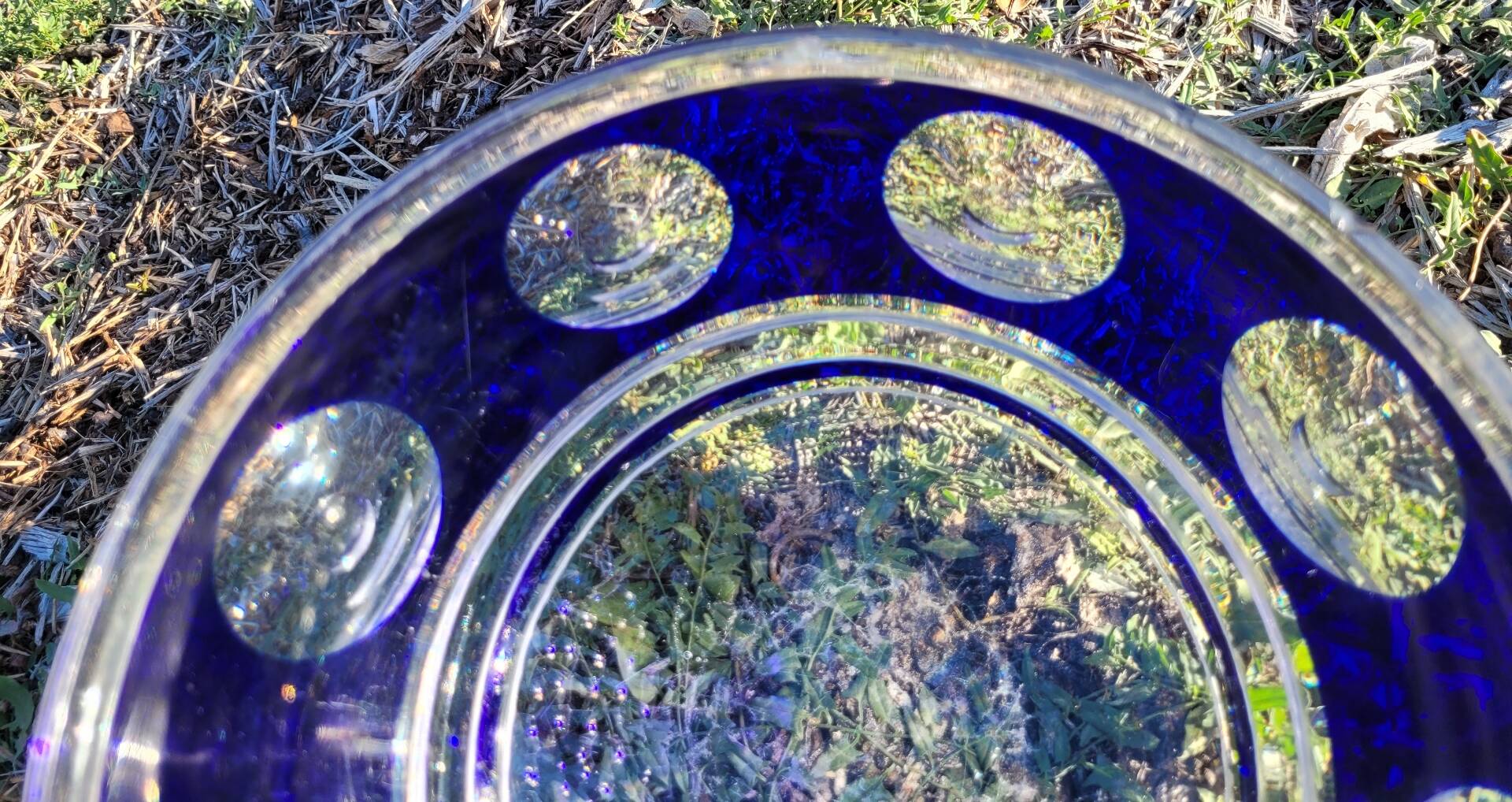cobalt blue glass bowl with round lenses