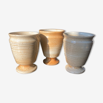 Marsh sandstone cups