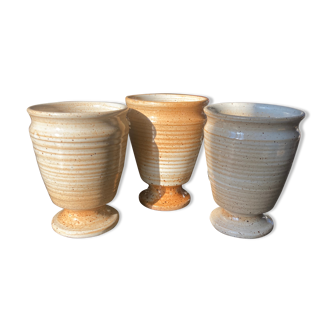 Marsh sandstone cups