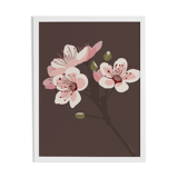 Illustration "Sakura" by Noums Atelier