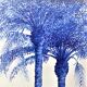 Dessin Palmiers Bleu
