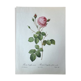 Botanical plate Centfeuilles Rose - 40.4x29.9cm