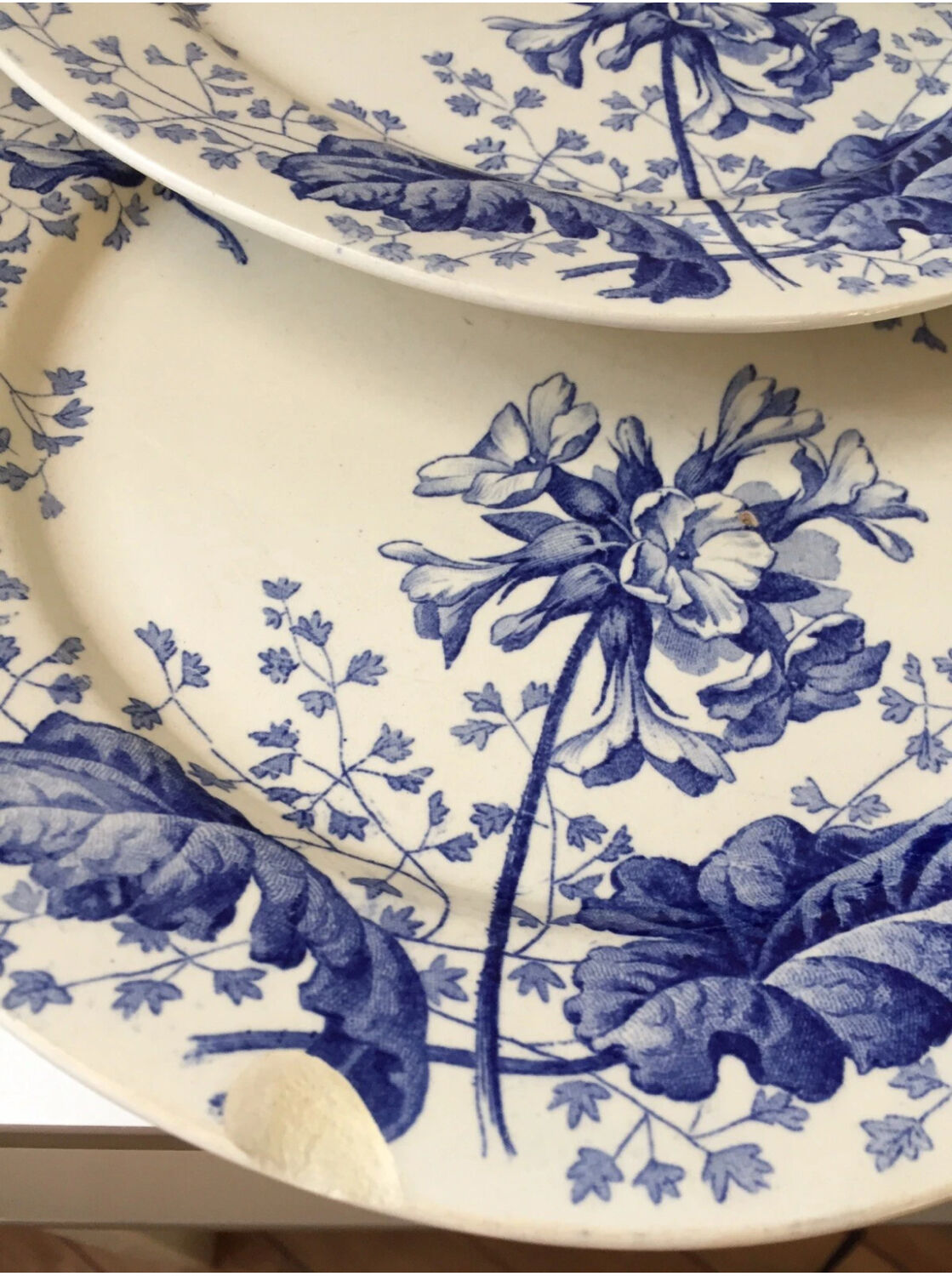 Assiette terre de fer Creil et Montereau décor primevère XIX