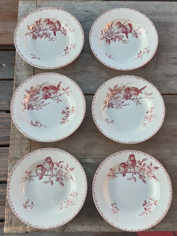 Set of 6 hollow plates Sarreguemines Favorite