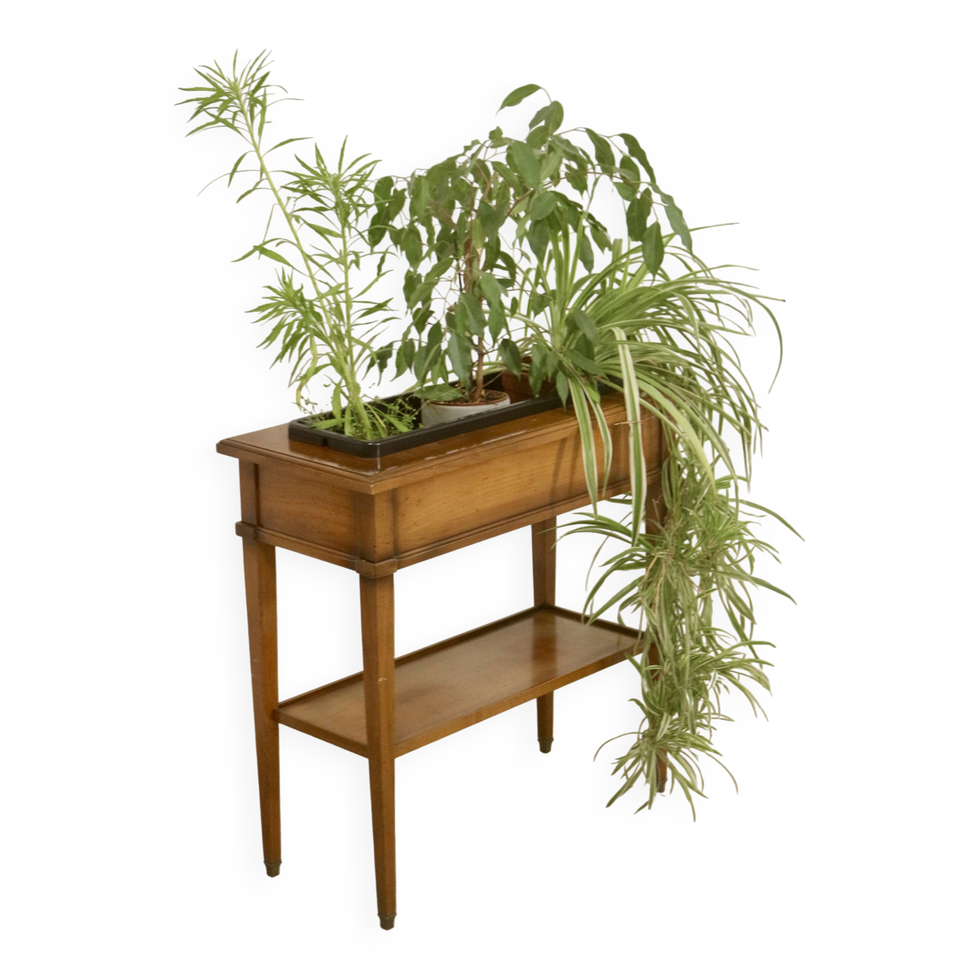 Indoor wooden planter. Ref blanchette
