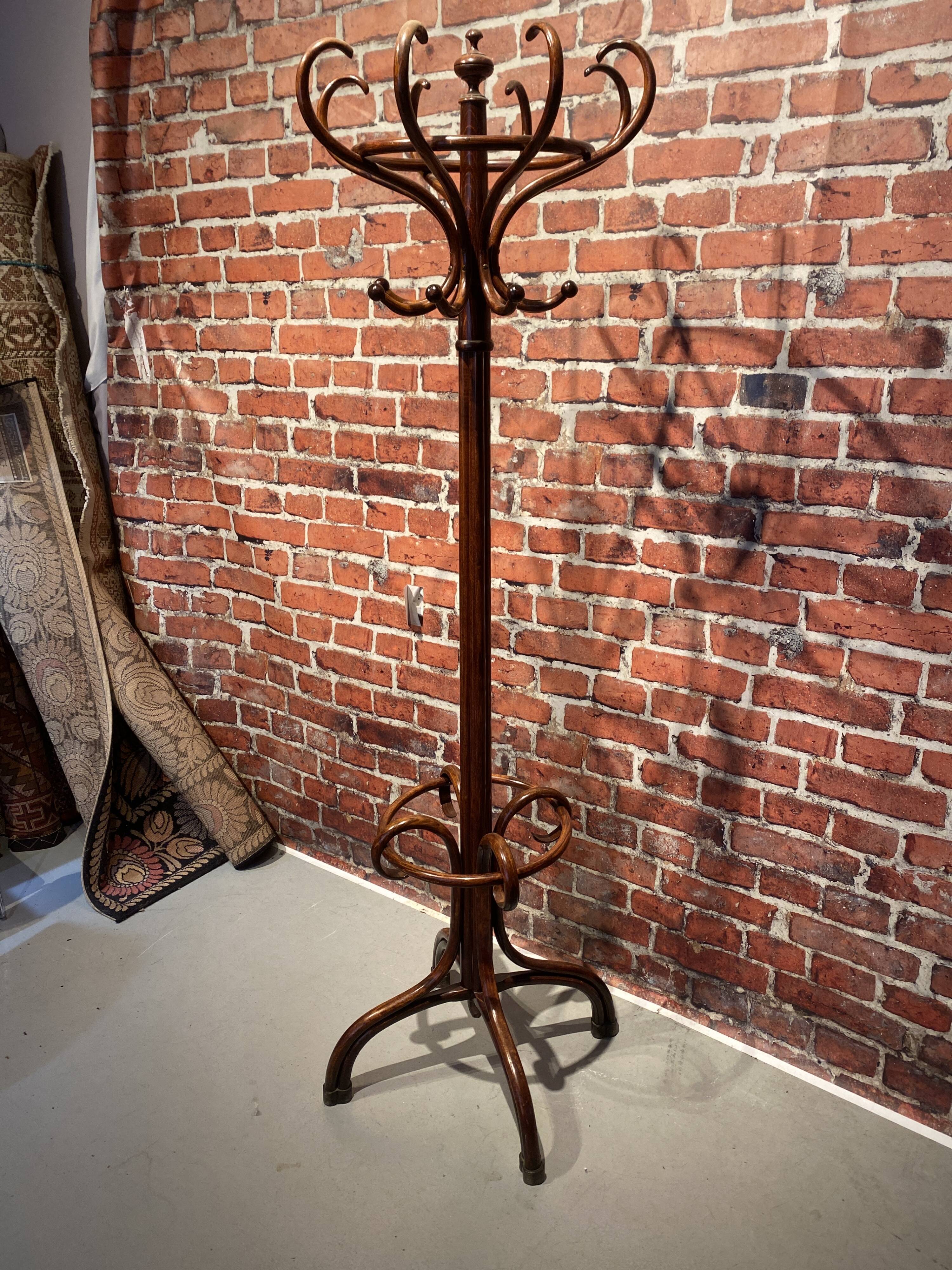 Wooden parrot coat rack