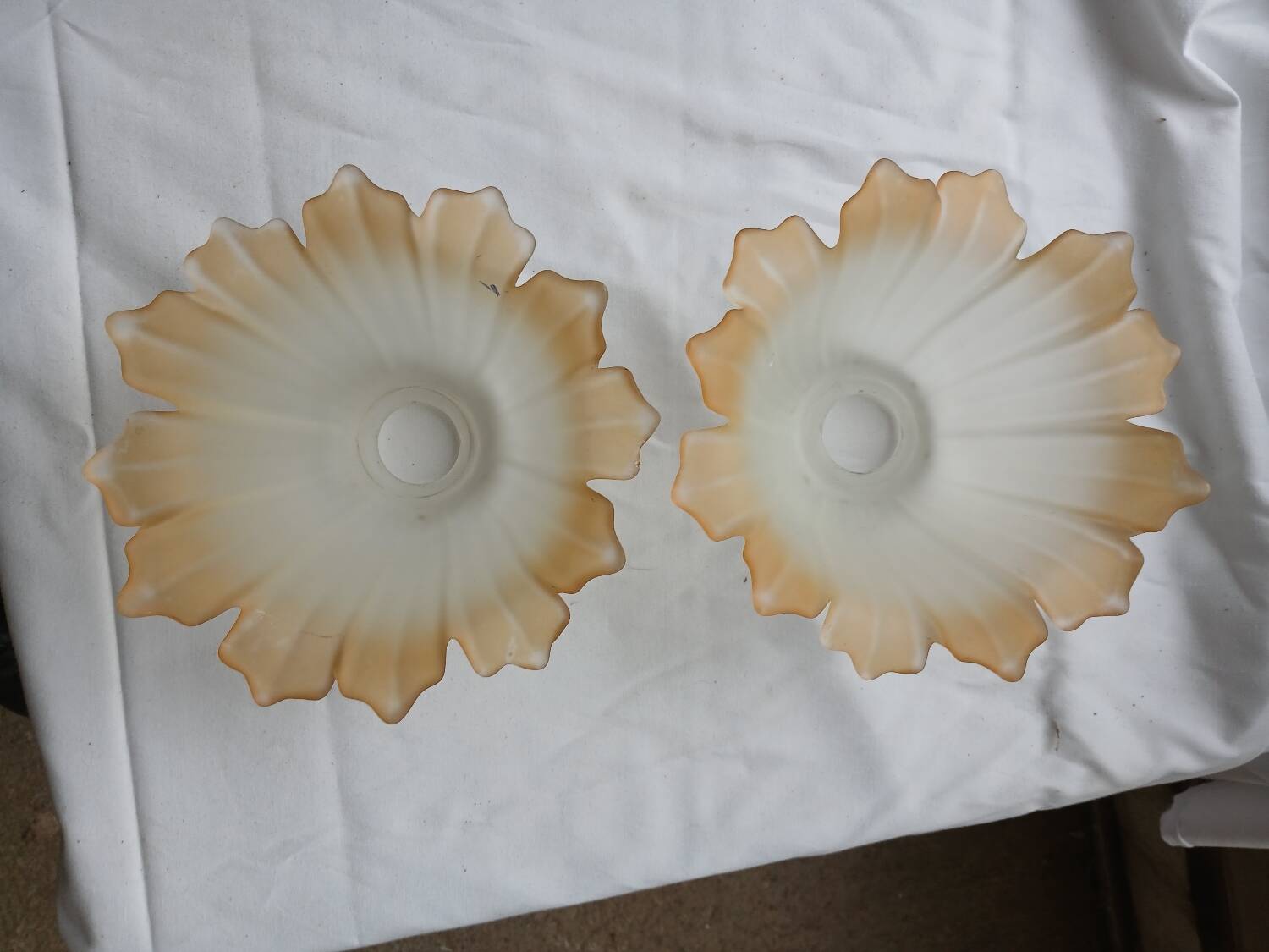Pair of Art Deco glass tulips / pendant lights