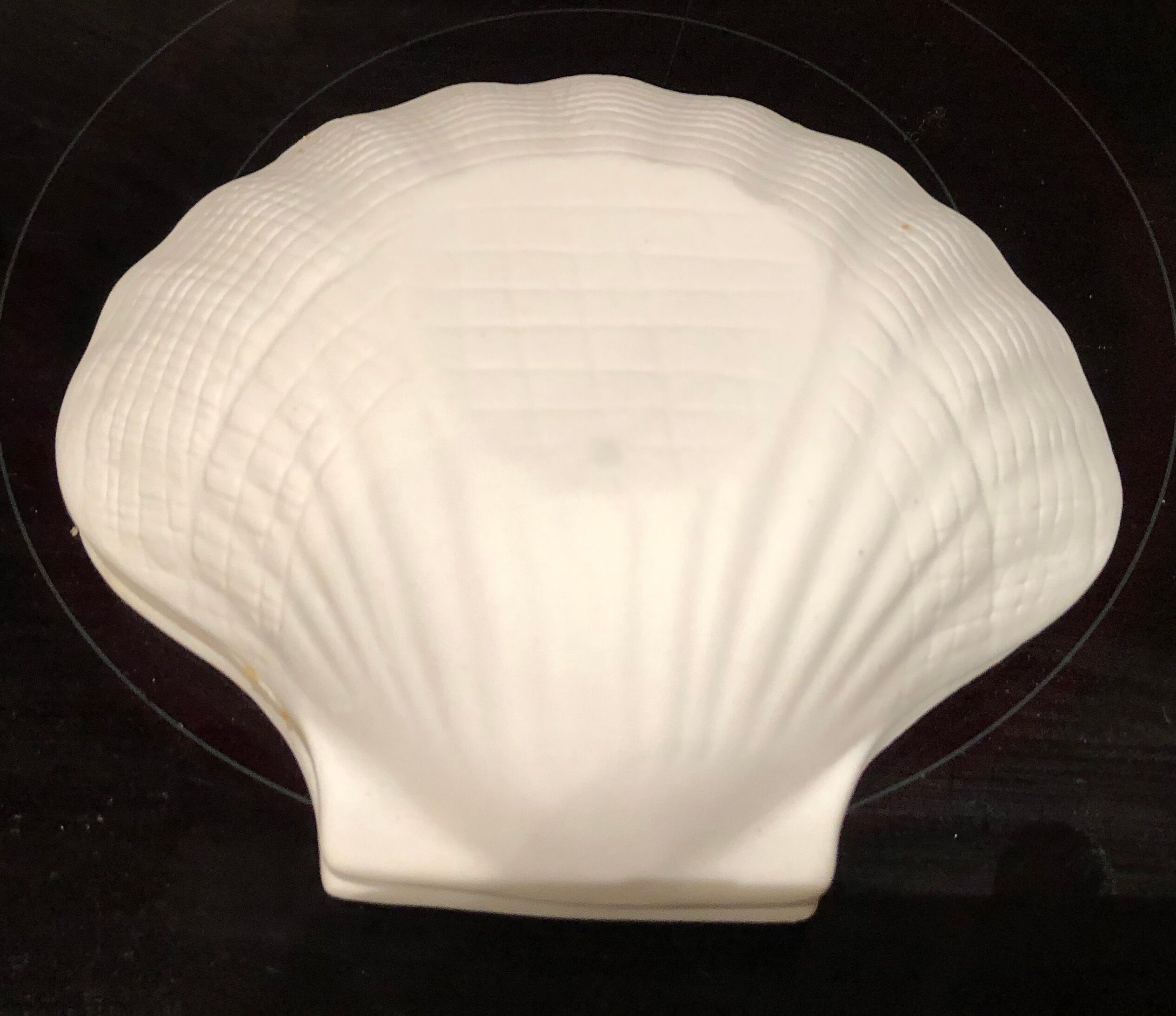 Set of 6 ceramic shells