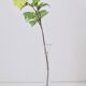 Vintage Orchid Vase by Michael Bang for Holmegaard, 1980s