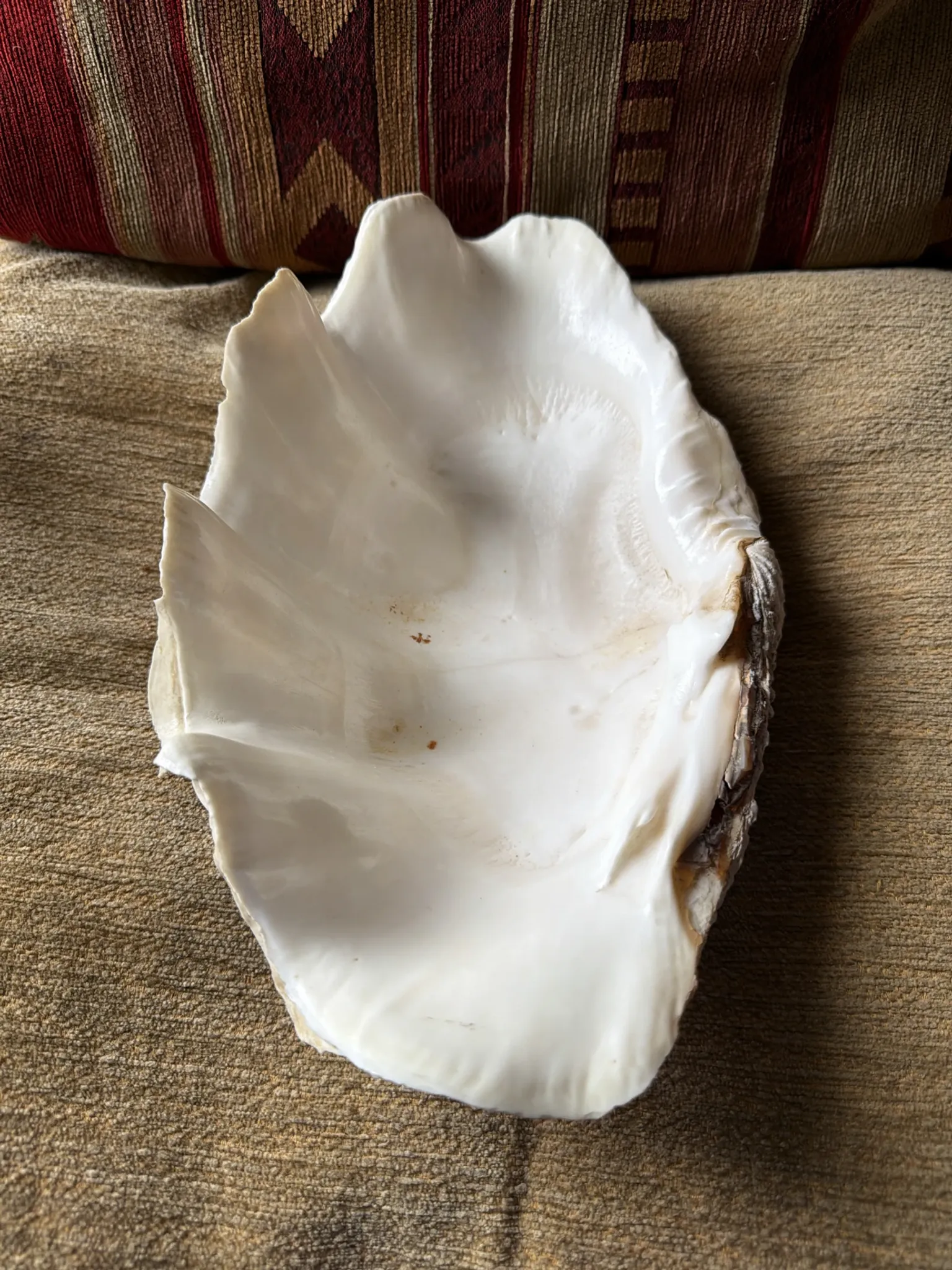 Benedictine 2kg