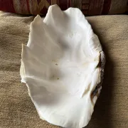 Benedictine 2kg