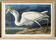 Affiche sur la Grande Aigrette, d’après une gravure ancienne de 1827.