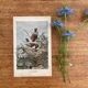 Ancienne gravure d'oiseau - Giacomelli et Huyot - LE TRAQUET -