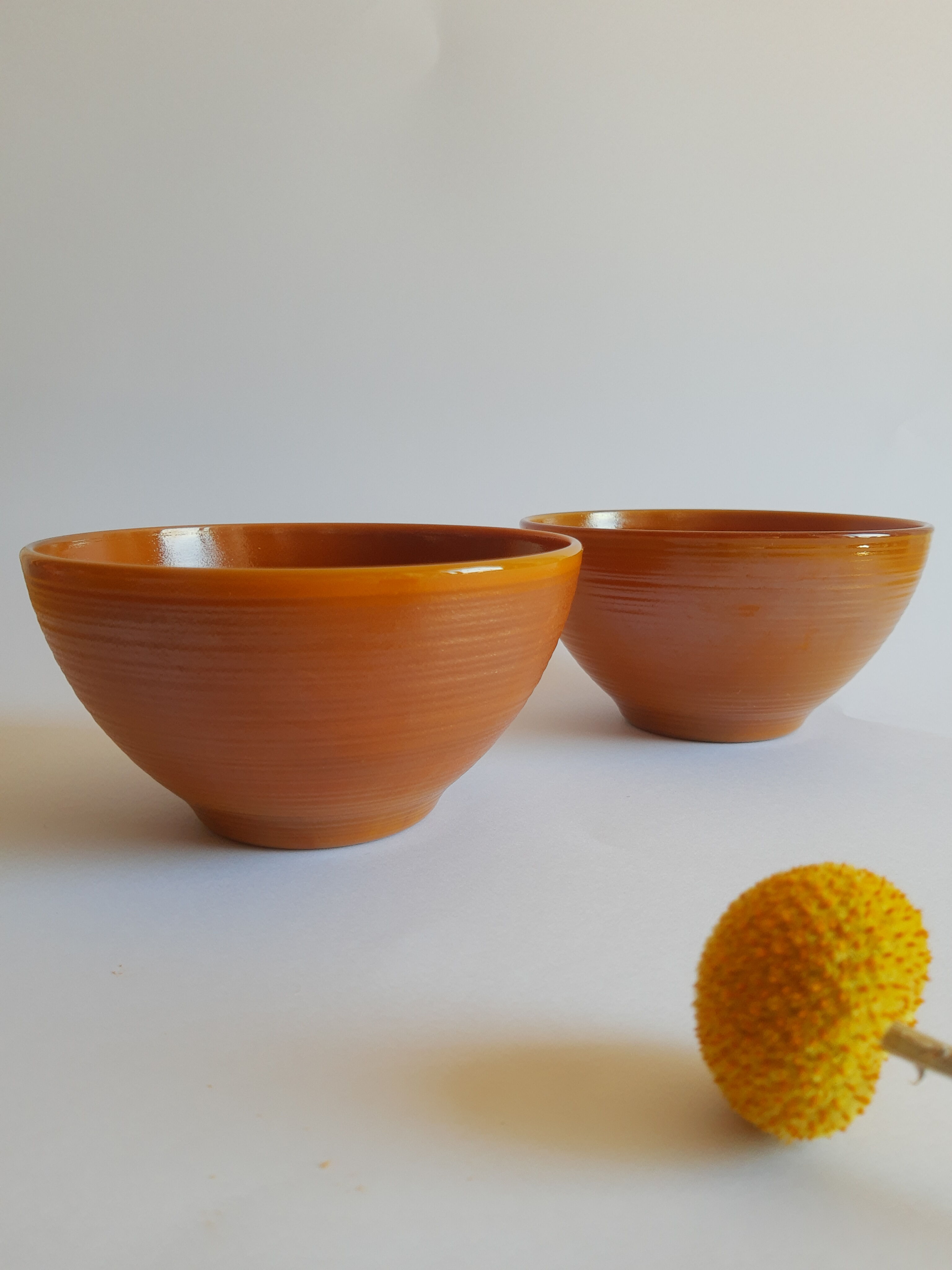Duo of brown bowls Arcopal model Vintage volcano