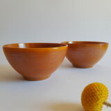 Duo of brown bowls Arcopal model Vintage volcano