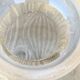 Hyacinth vase in frosted glass art deco foliage pattern