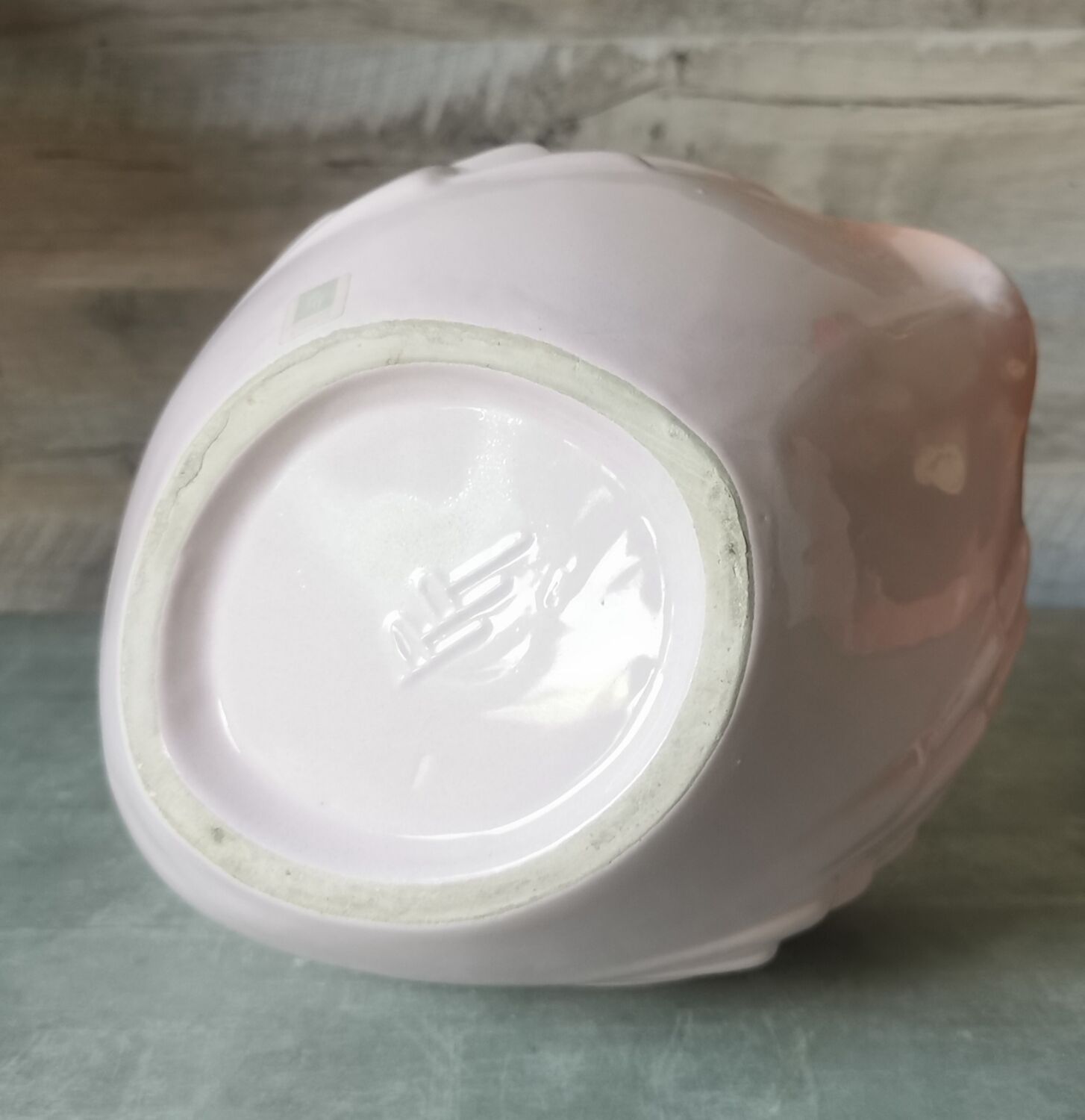 Swan Rigon Roberto Italy