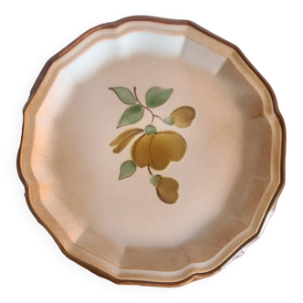 Assiettes plates Salins France