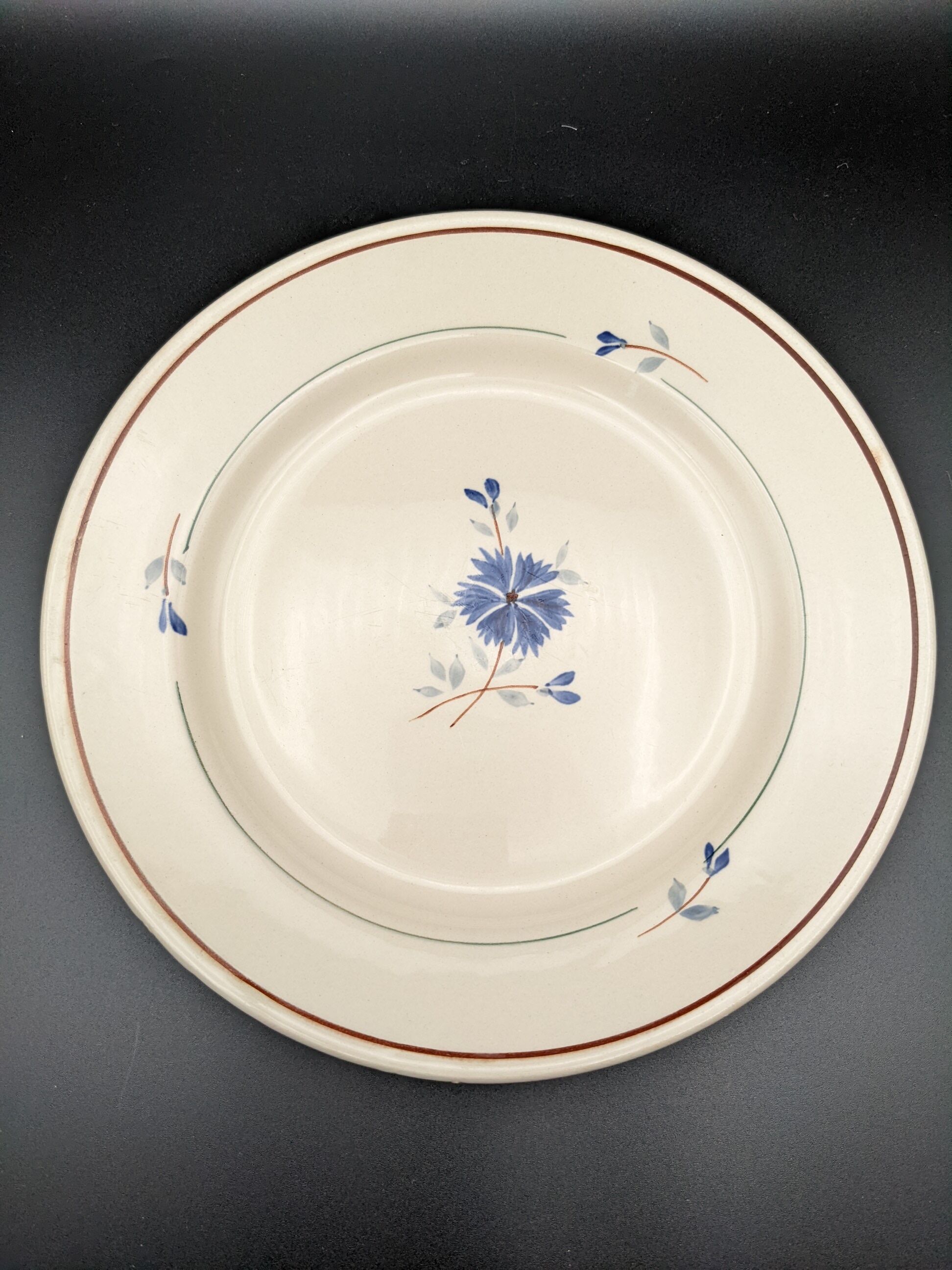 lot 6 flat plates Saint Amand model Prisca flowers