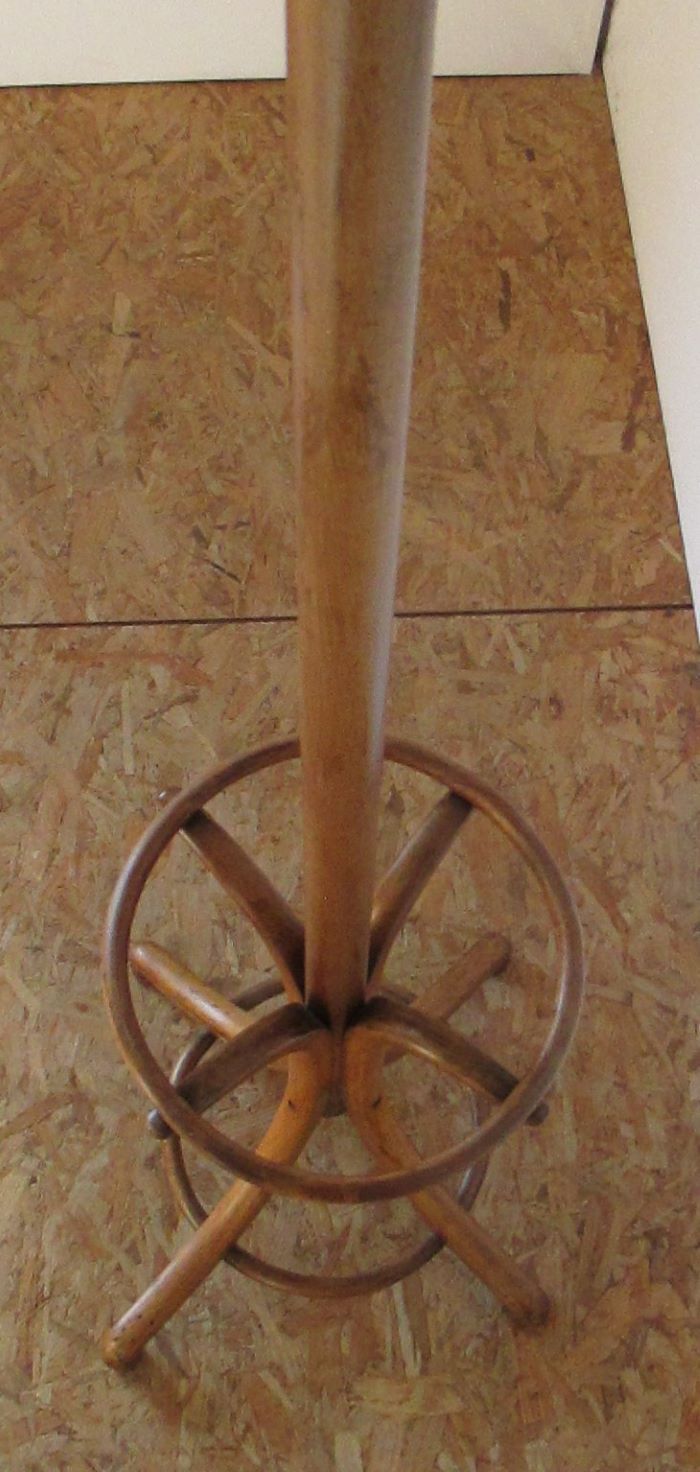 Fishel bistro parrot