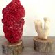 Coral vintage on wooden base