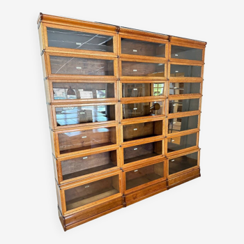 Large Globe Wernicke Bookcase