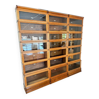 Large Globe Wernicke Bookcase