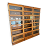 Large Globe Wernicke Bookcase