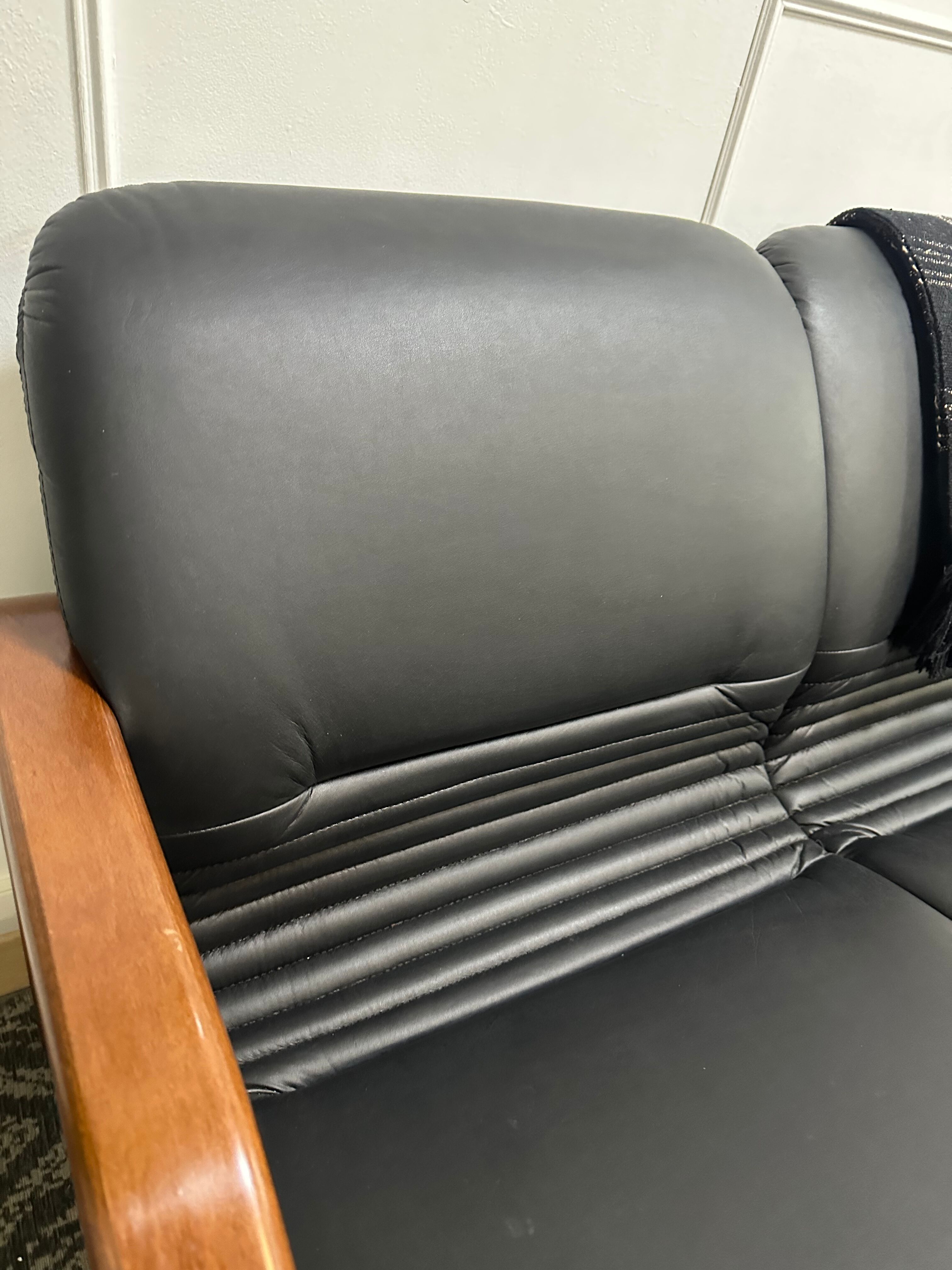 Design living room in black leather