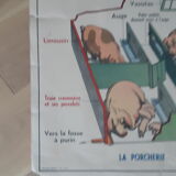 School poster pig and cat