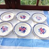 6 Salsola flat plates