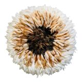 Juju Hat beige 65 cm