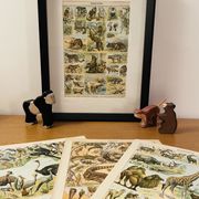 Lithographie sur les animaux utiles de 1911