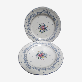 Two flower garden plates