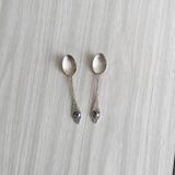 Two small metal spoons