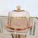 Art Deco pink glass cheese dome
