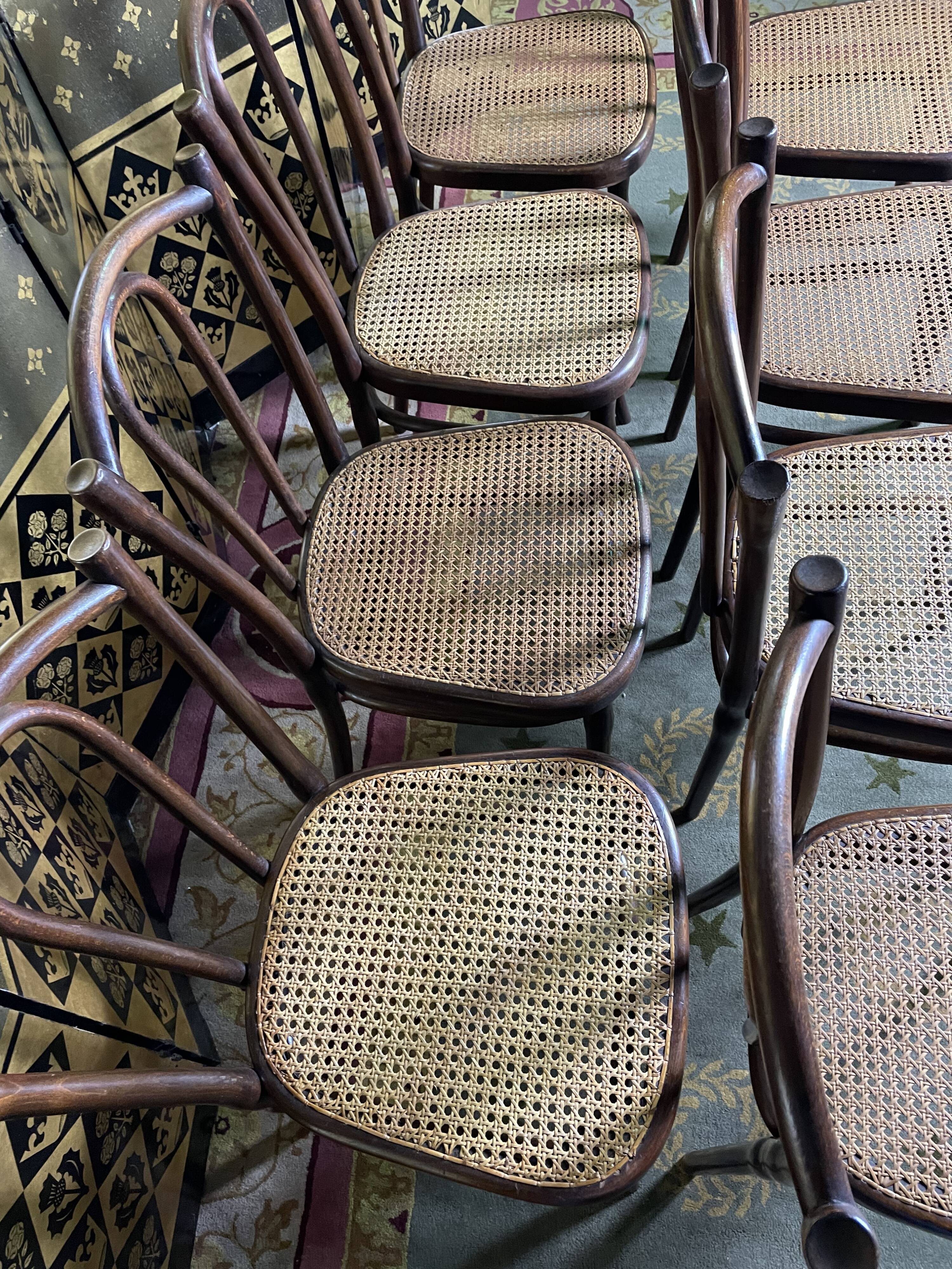 Suite of 8 chairs bistro Thonet number 56