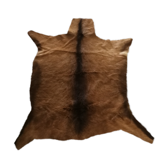 Goat skin